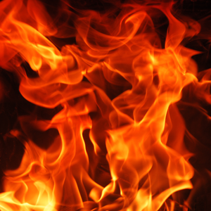 templatemo home image